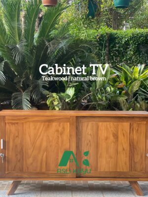 Solid Cabinet TV