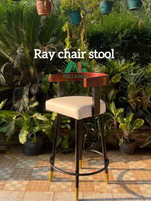 Ray chairs stool kursi bar