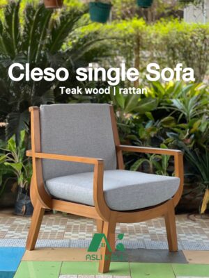 Cleso single sofa