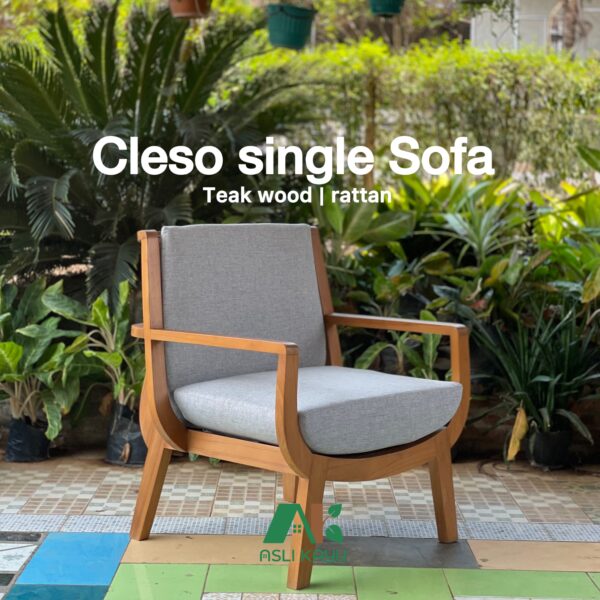 Cleso single sofa