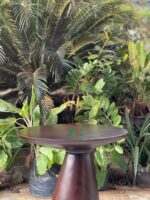AKST-06 runa set table