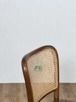 Rattan dining chair-AKDC100