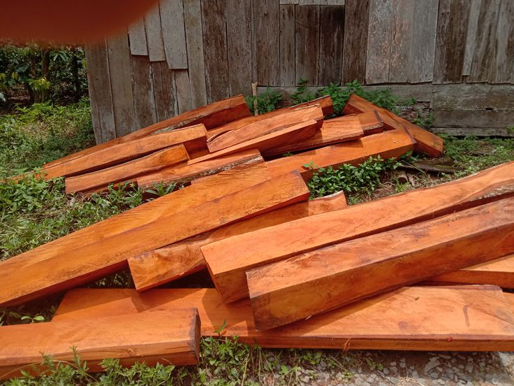 Alasan Kayu Mahoni Cocok untuk Furniture