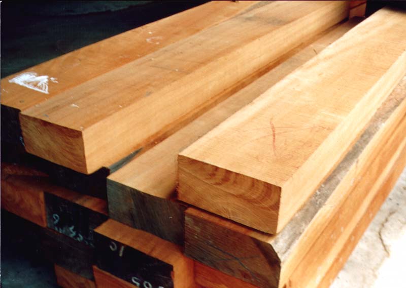 kayu-mahoni