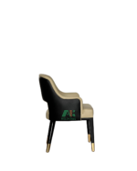 Arm chair - AKDC153
